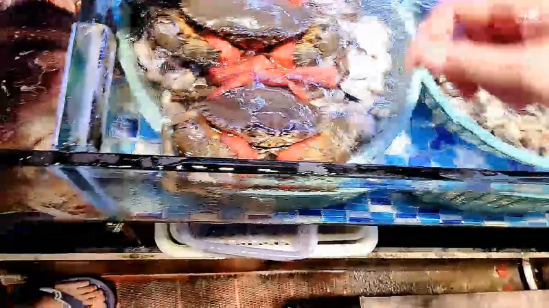 【户外】国民大舅哥的精彩时刻 20220928 00点场