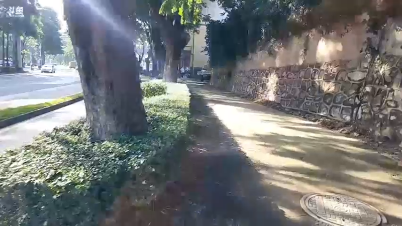 【2022-09-26 17点场】叶子户外：广州晚上9点飞机