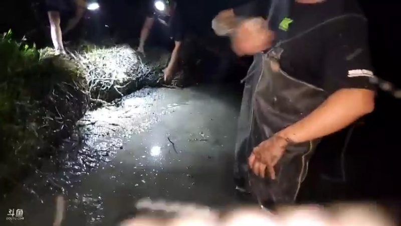 【2022-09-28 19点场】洪湖小肖：盲盒求生大家多多参与一下