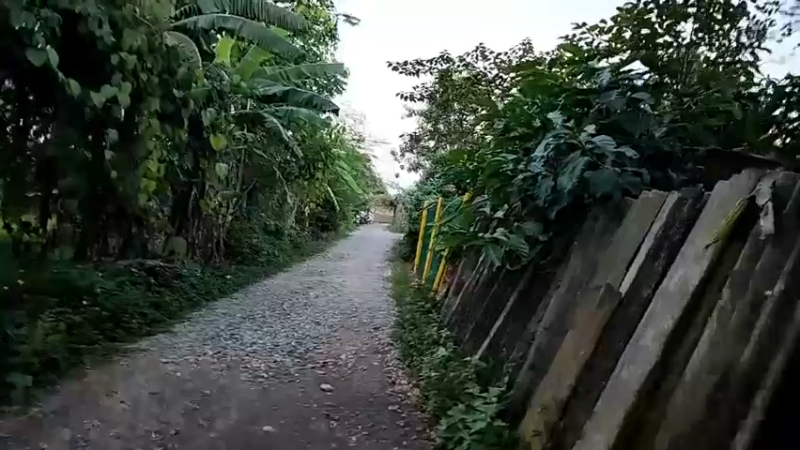 【2022-09-26 19点场】叶子户外：广州晚上9点飞机