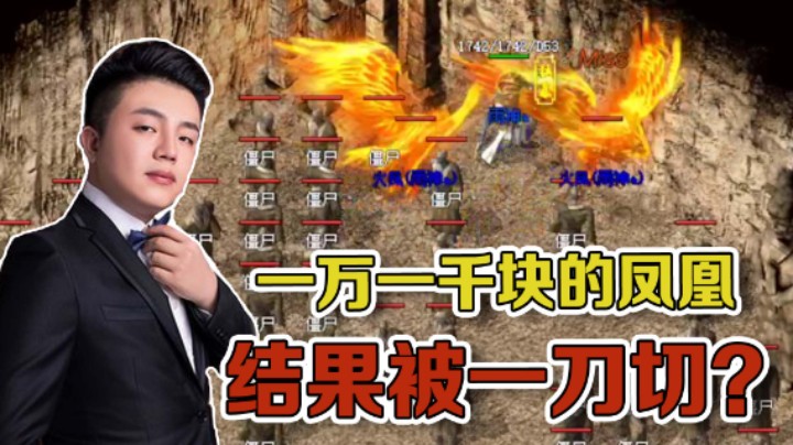 【雨神丶】巨资买了一万一千块的凤凰，结果被人一刀切