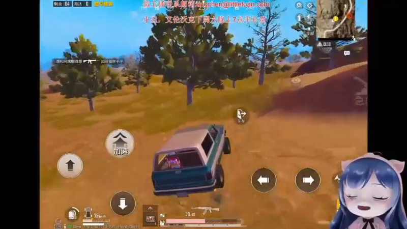 【2022-09-28 06点场】一条小团团OvO：目前录像哦~