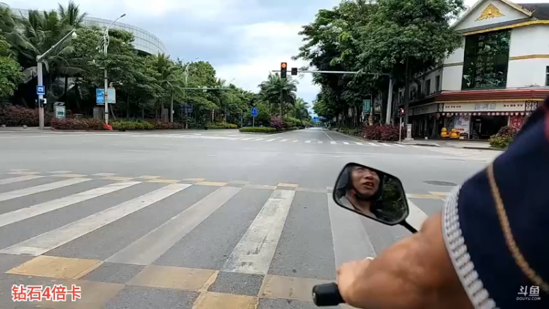 【2022-09-25 14点场】叶子户外：西双版纳望天树,day7