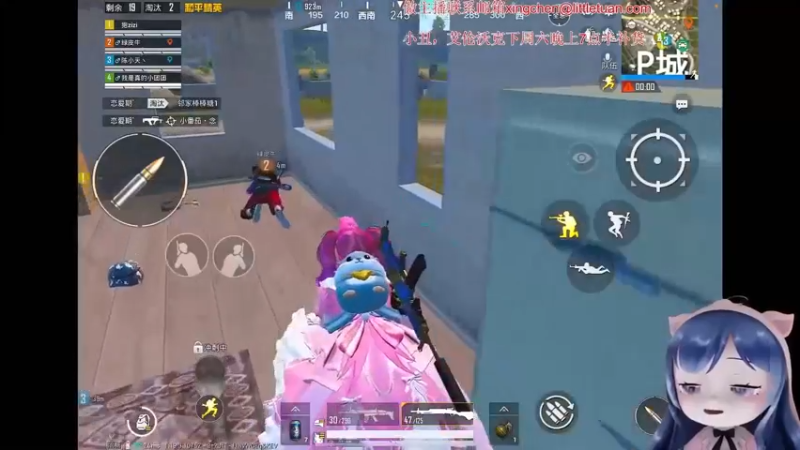 【2022-09-28 08点场】一条小团团OvO：目前录像哦~