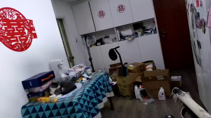 【2022-09-28 19点场】高冷知性暖心囧：芝士蛋糕制作！男人的浪漫！