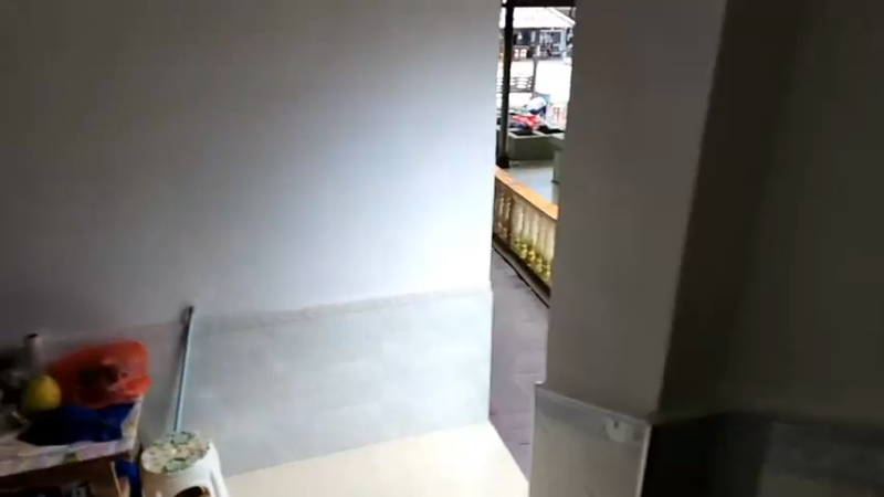 【2022-09-25 12点场】叶子户外：西双版纳望天树,day7