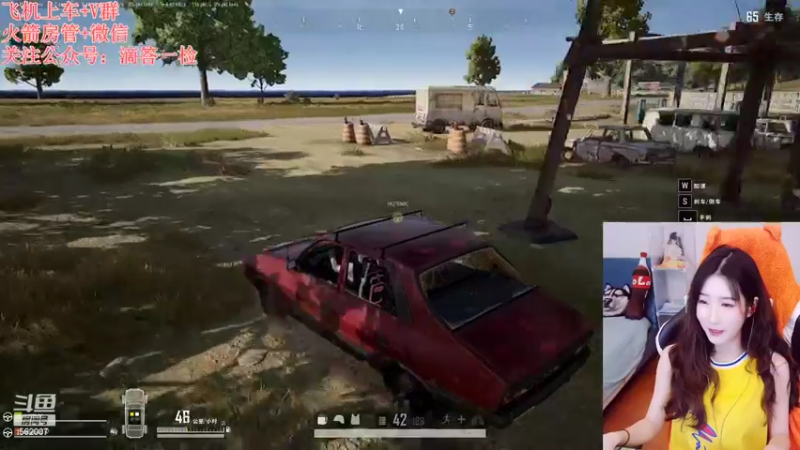 【2022-09-29 20点场】白菇凉：白菇凉:菜狗子大白