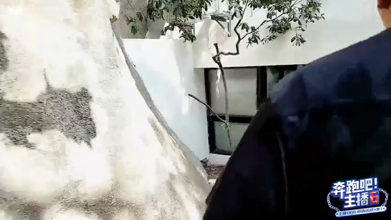 【2022-09-29 13点场】大龙猫：Day3   史密斯夫妇