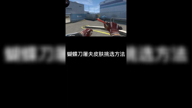【csgo皮肤讲解】屠夫蝴蝶刀皮肤怎么挑？