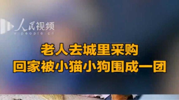 老人采购回家瞬间被猫狗围成一团 网友：像极了小时候盼年货