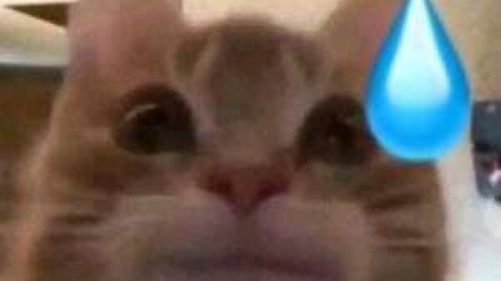 一年一度生日祭