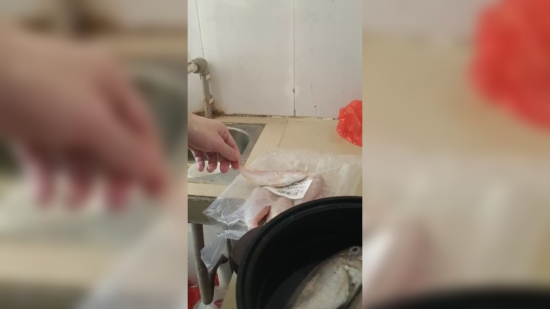 娱乐鱼乐