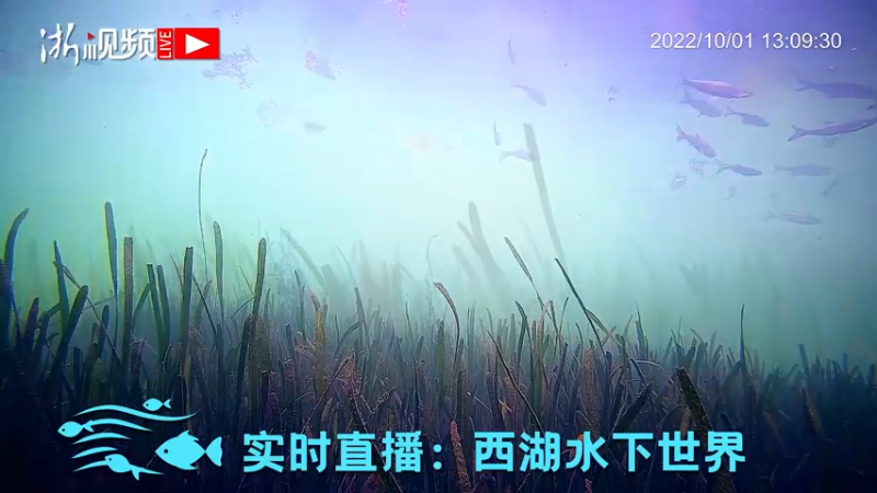 【2022-10-01 13点场】浙江日报直播室：新青年带你饱览径山美丽乡村新图景