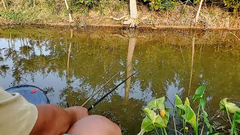 【户外】微山湖捕鱼武工队的精彩时刻 20221001 16点场