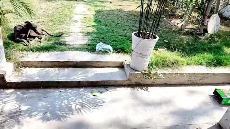 【2022-10-01 14点场】洪湖小肖：盲盒求生集合集合