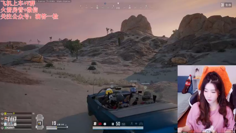 【2022-10-01 19点场】白菇凉：白菇凉:菜狗子大白