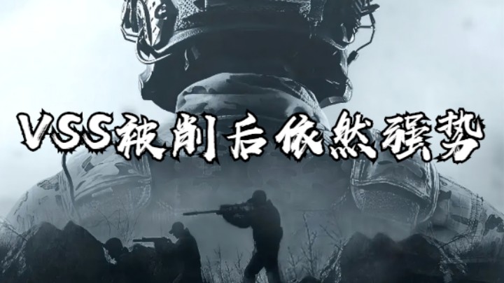 暗区突围-VSS被削后依然强势