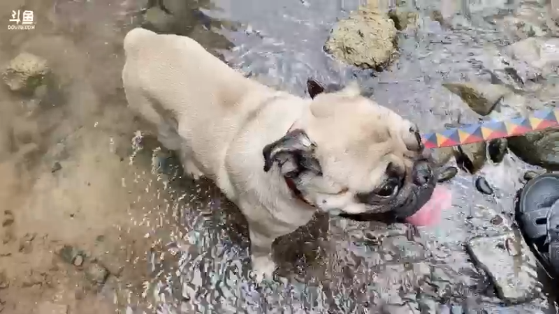 【2022-10-02 14点场】仙某某：下午13点开播