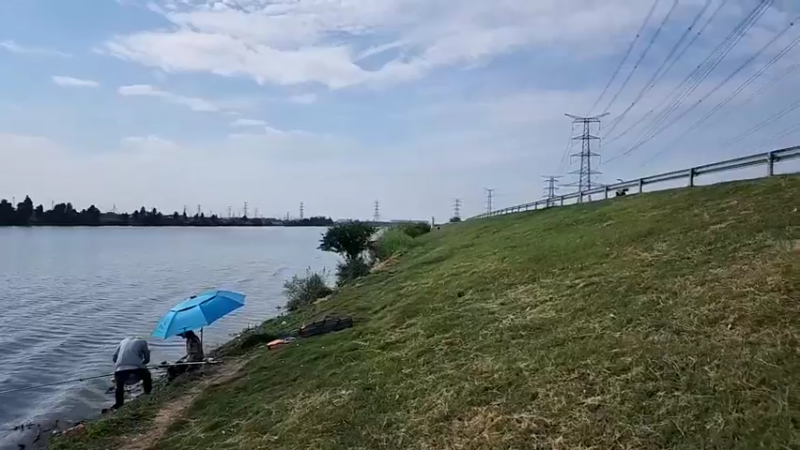 【2022-09-28 15点场】叶子户外：广东顺德。 244548