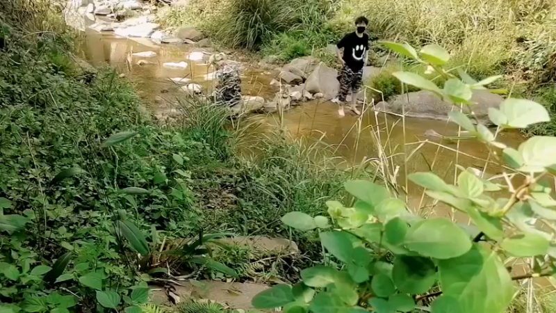 【2022-10-02 14点场】仙某某：下午13点开播