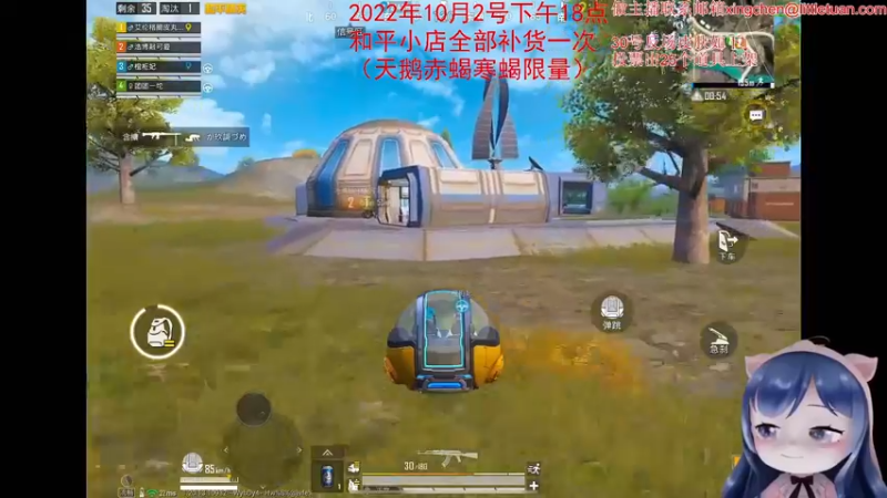 【2022-10-02 03点场】一条小团团OvO：现在是回放，下午5点来~