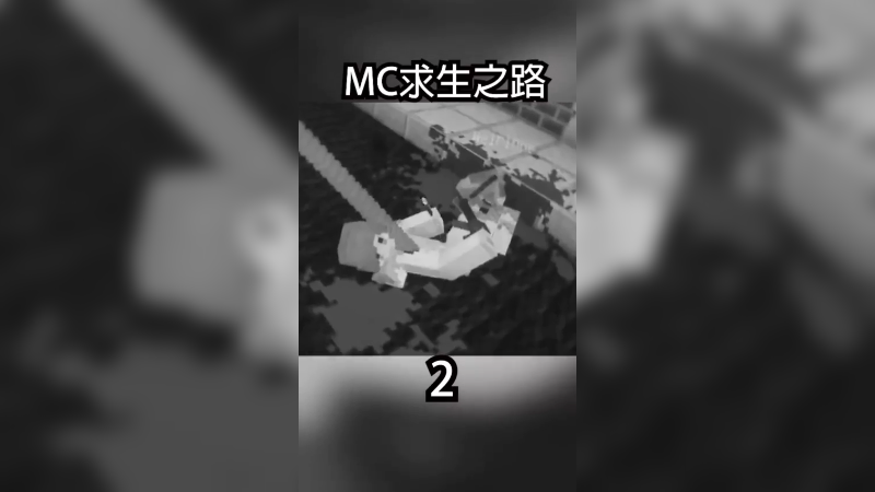 mc求生之路5