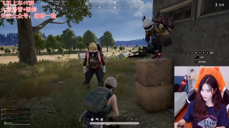 【2022-10-02 23点场】白菇凉：白菇凉:菜狗子大白