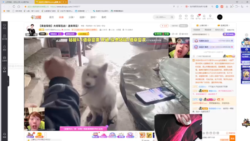 【2022-10-03 14点场】九二楷之丶92K：【楷咕咕】今日双倍亲密度