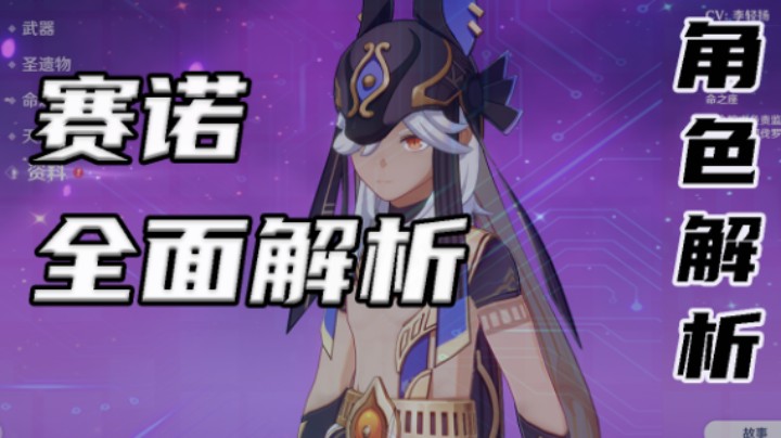 【赛诺全面解析】