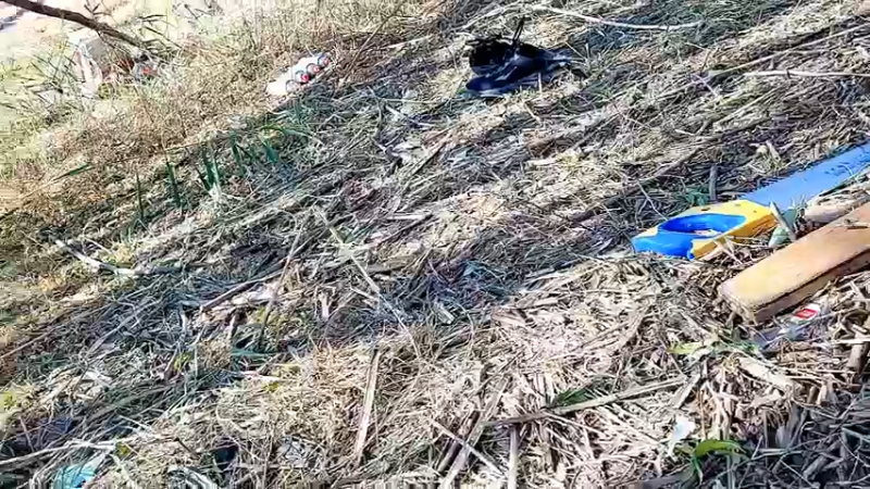 【2022-10-03 15点场】洪湖小肖：《盲盒求生》第2天