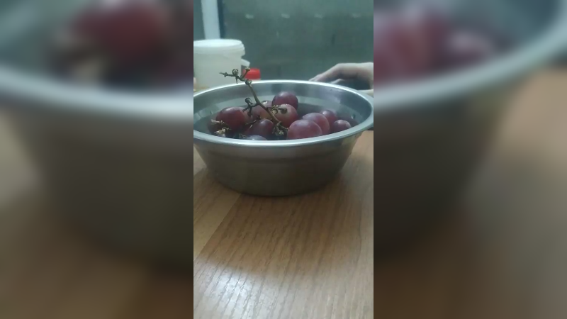 庆祝金秋