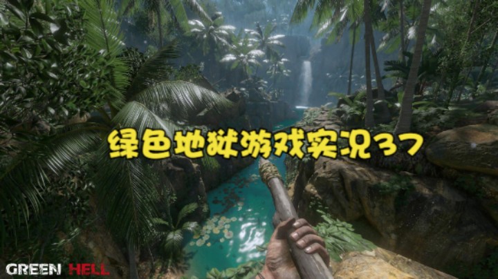 绿色地狱游戏实况37