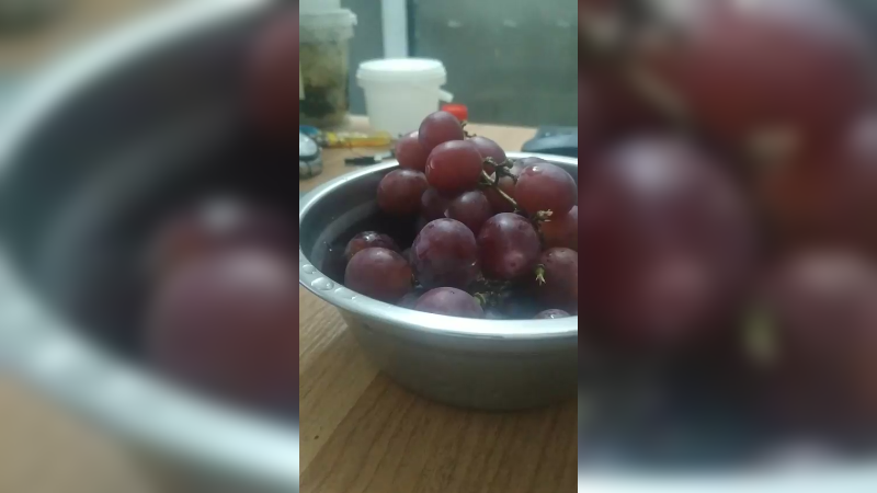庆祝金秋