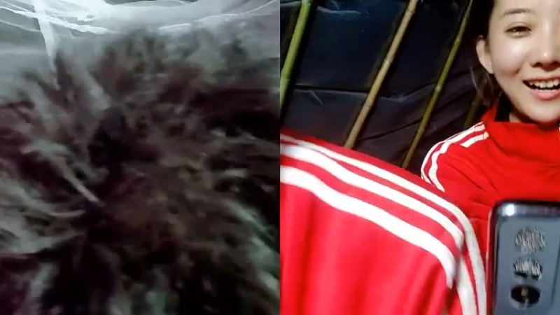 【2022-10-04 20点场】洪湖小肖：《盲盒求生》第3天