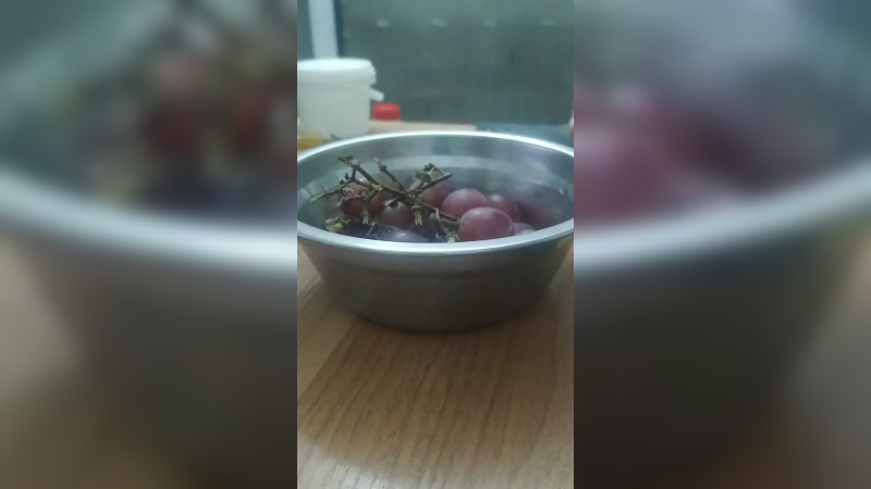 庆祝金秋
