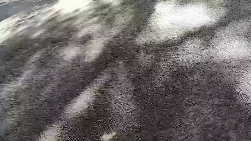 【2022-10-05 10点场】o北京老王o：京城户外。