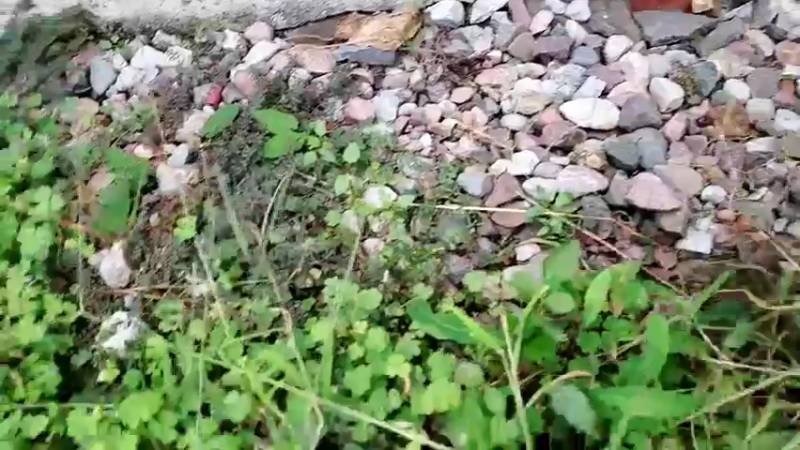 【2022-10-05 09点场】黑哥户外：风雨彩虹。