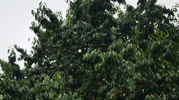 快好了，进步很大