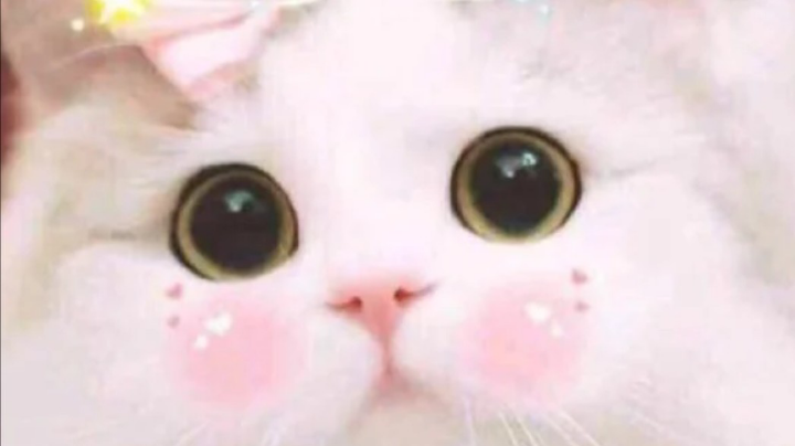 输得离谱