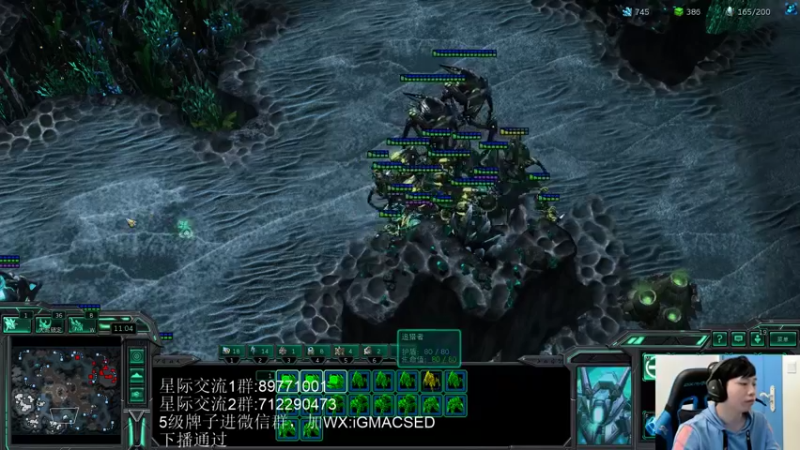 【2022-10-07 16点场】igmacsed：先星际，然后给兄弟们交代