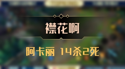 【襟花啊】阿卡丽 14杀2死