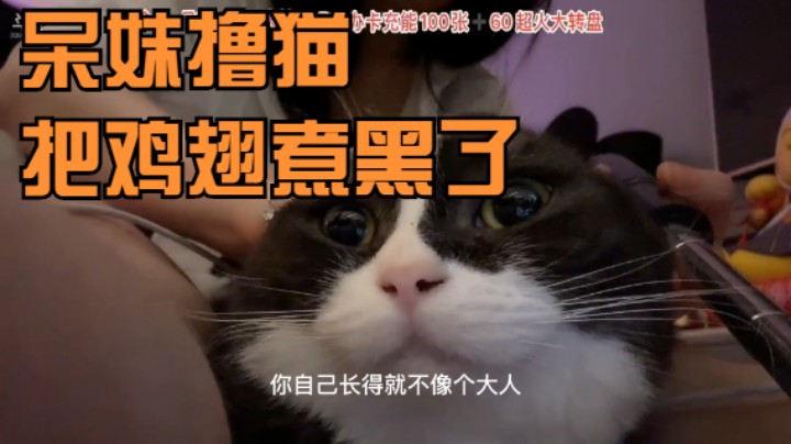 《主播语录》20集：呆妹边做鸡翅边撸猫，结果鸡翅煮黑了，但是看起来很有食欲