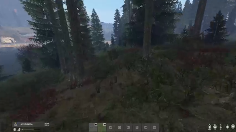 【2022-10-09 15点场】dayz韩爱东西：老韩车臣尼亚历险记