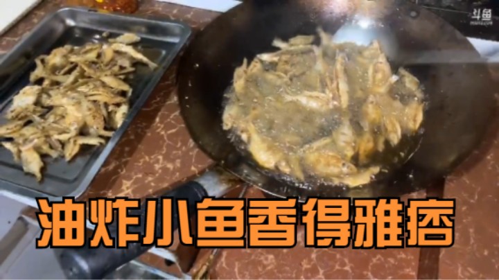 《主播语录》钓鱼一下午，钓了这么多小鱼，油炸小鱼，香的雅痞