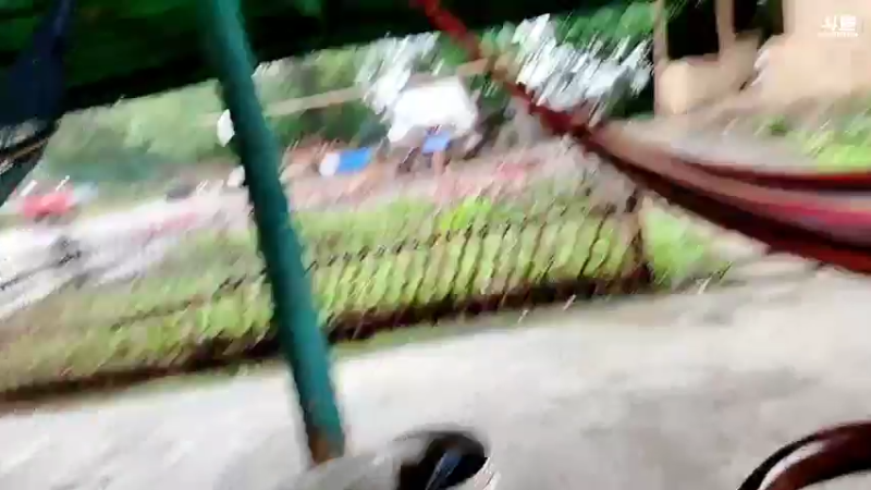 【2022-10-08 10点场】川味箩卜：上午十一点～