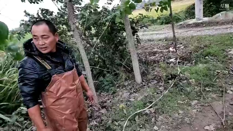 【2022-10-09 18点场】洪湖小肖：大小强先播我一会过来