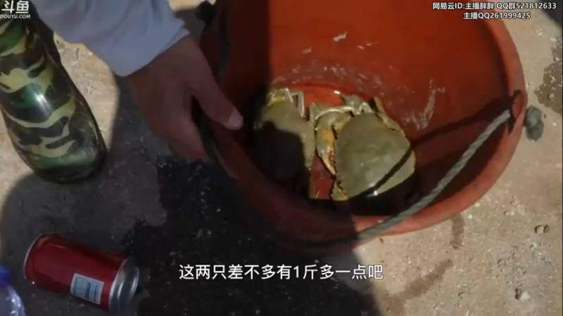 【2022-10-09 04点场】胖胖灬：胖胖OB：JD TES RNG北美超级服