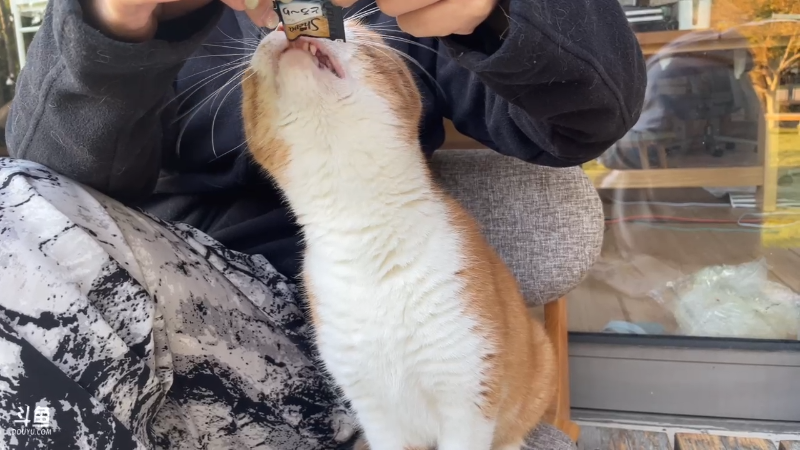 主播在哪直播的？有些网络卡啊！