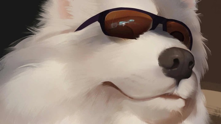 10号，网络不稳定先下了