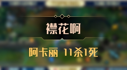 【襟花啊】阿卡丽 11杀1死